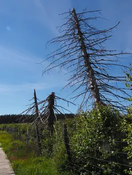 Signal de Botrange (België)